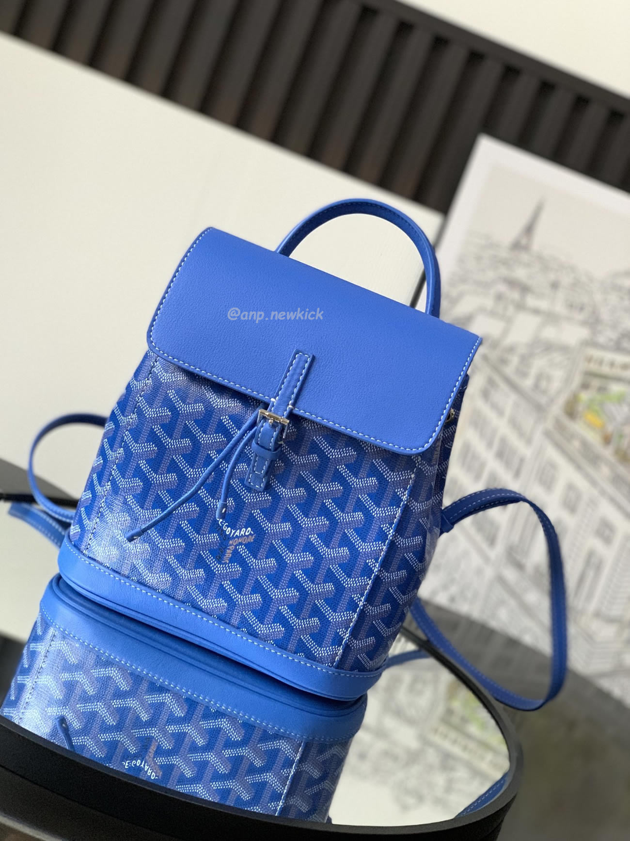 Goyard Alpin Mini Backpack 23 Cm X 9.5 Cm X 19 Cm (17) - www.newkick.vip